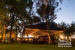 toldo en el rancho la soledad