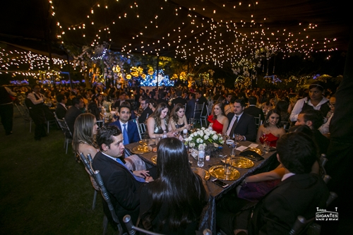 iluminacion en jardin